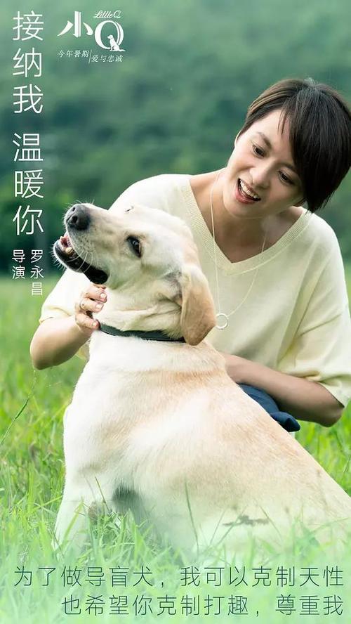 怎么购买日本和歌山大学文凭毕业证